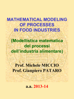 modellistica matematica dei processi dell`industria alimentare