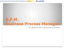 B.P.M. Business Process Manager
