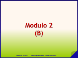 Modulo B