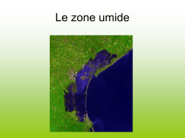 Le zone umide