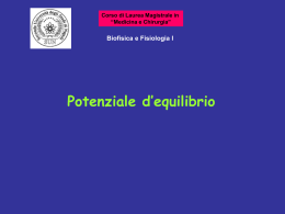 Equazione di Nerst Potenziale di equilibrio di uno ione = differenza