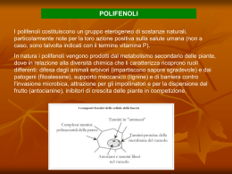 polifenoli - IISS Caramia