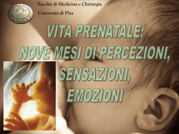 Extra - Percezione dei neonati
