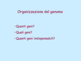 Lez7organizz_geni