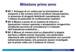 Massimo Macucci