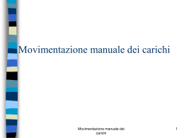Movimentazione manuale dei carichi