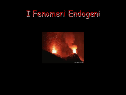 I Fenomeni Endogeni