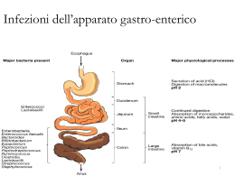 Infezioni dell`apparato gastro-enterico