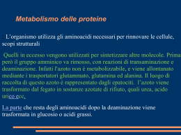 TRATTAMENTO DIETETICO NELLE PATOLOGIE RENALI