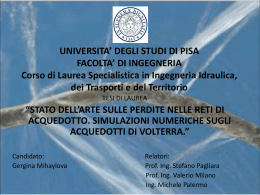 STATO DELL&acute;ARTE SULLE PERDITE NELLE RETI DI