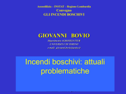 Relazione Prof. G.Bovio