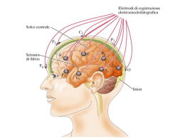 Lezione Fisiologia Farmacia