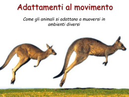 Adattamenti al movimento