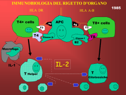 Una lezione psichedelica