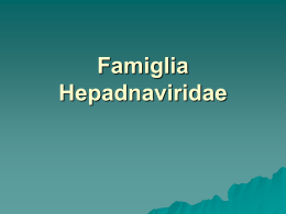 Famiglia Hepadnaviridae (Giammona)