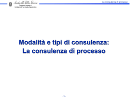 la consulenza di processo