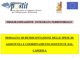 Rendicontazione_spese_capofila PIT