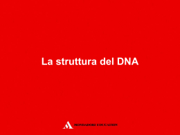 Lezione interattiva - La struttura del DNA