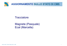 tonelli_stato_cms