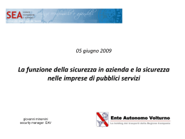 18 maggio 2009 La figura del security manager