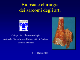 G . Bisinella - triveneta.org