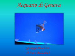 Aquario di Genova - Il Blog di scuolaidea