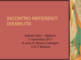INCONTRO REFERENTI DISABILITA`