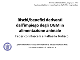 Infascelli Roma Senato 2015