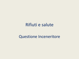 Inceneritore-osservazioni-sul-progetto
