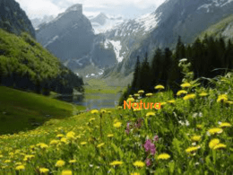 Natura - Adolfo Pagano 3A - Scuola Secondaria di I grado "A. Balzico"
