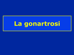 Gonartrosi - lerat