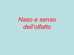 Naso e senso dell`olfatto