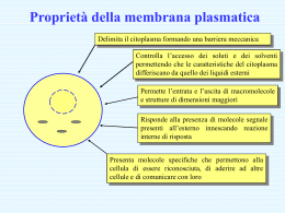 Proprietà della membrana plasmatica