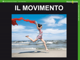 movimento_c22