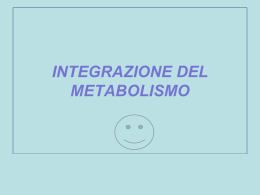 Metabolismo dei carboidrati - Facolt&agrave; di Medicina e Chirurgia