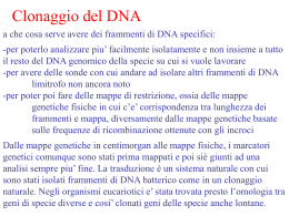 Lez_3_4_bis_clonaggio_ - Universit&agrave; degli Studi di Roma Tor