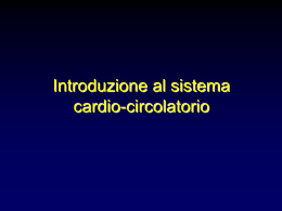 Il sistema cardio