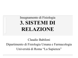 Sistemi di relazione
