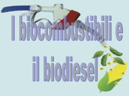 Biodiesel - ITIS E. Divini