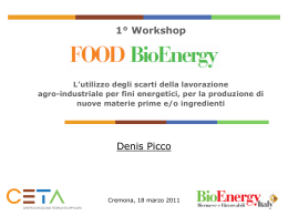 Valorizzazione energetica delle biomasse