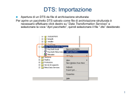 Documentazione per importare DTS (DTS_importazione)