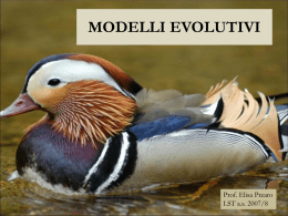 Speciazione e modelli evolutivi