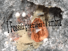 "i fossili preziosi l` ambra" a cura della 1EEA 2009/10