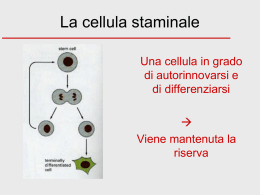 Cellule staminali - Istituto Sant`Anna