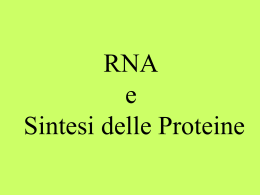 RNA e Sint. Proteica