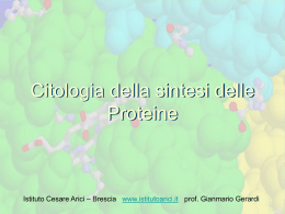 citologia della sintesi proteica