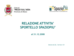 RELAZIONE ATTIVITA` SPORTELLO SPAZIOPIU` al 31.12.2008