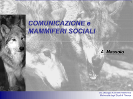 Comunicazione nei mammiferi sociali