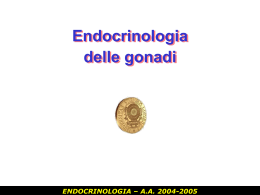 AA 2004-2005 ENDOCRINOLOGIA – AA 2004