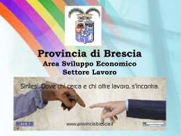 Provincia di Brescia Area Sviluppo Economico Settore Lavoro Il